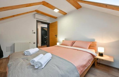 Cozy Home In Vitesinec With Sauna - Foto 27