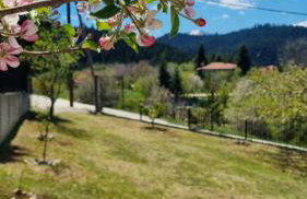 Tsigaridas Mountain Home - Foto 27