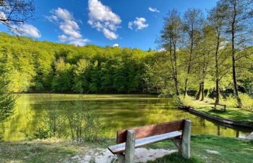 Ferienhaus am Badesee Schönsee Bungalow 12 - Foto 20