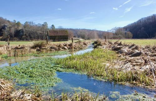 in Haus Kallenberg - Foto 29