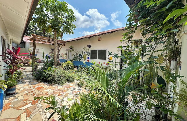 Mama's House - Photo 17