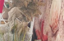 Casacamer S - Foto 33