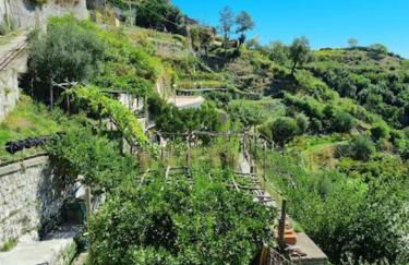 A casa di nonna Elvira - Foto 13