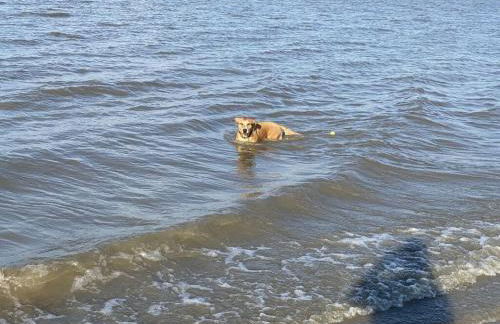 Holiday Apartment Elbe - Foto 5