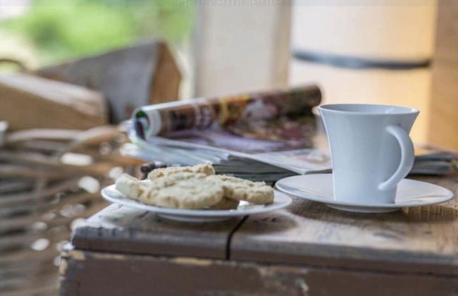 Ambiance Modern Retreat - Photo 22