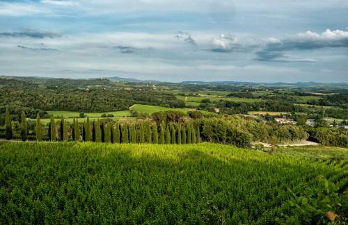 Borgo Argiano - Photo 94