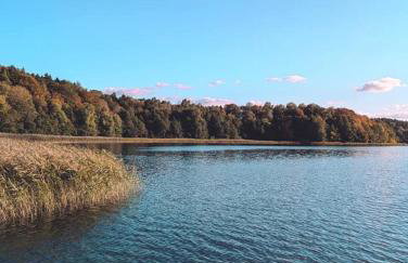 Świerkowe Ranczo Raciszewo - Foto 31