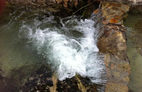 Quinta Porto dos Lobos - Foto 42