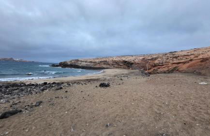 Tufia Marine Life by Canariasgetaway - Foto 41