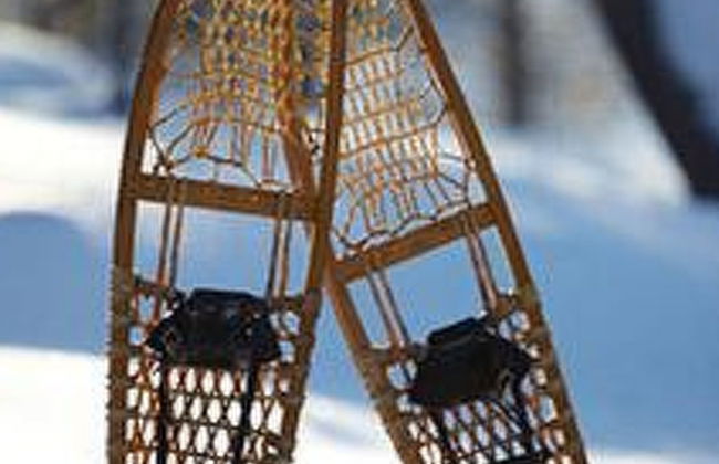 Riutankolo - Foto 31