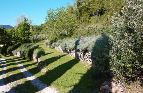 mulino della rivolta - Foto 55