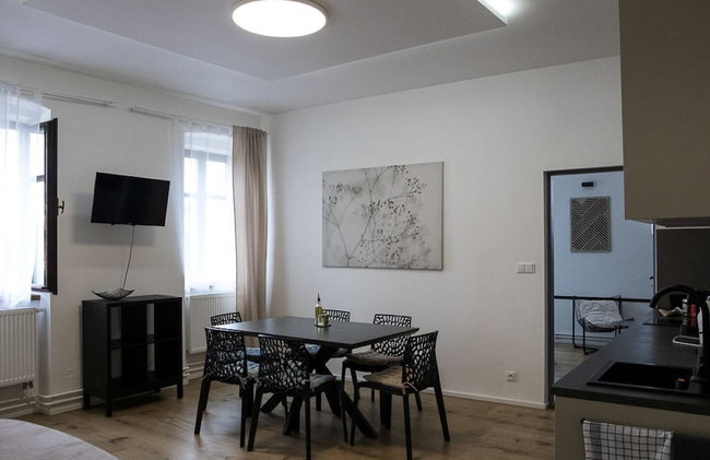 Family Apartments Černice - Foto 47