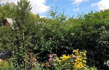 Ferienwohnung am Drömling Südheide - Gerda - Foto 36