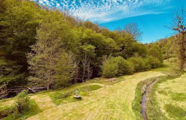 Le Moulin L'Official - Foto 19