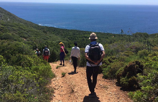 Senderismo por el Parque Natural de Arrábida - Foto 5