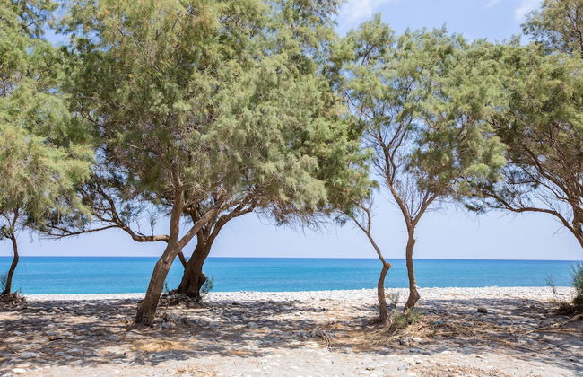 Aadonis Villa - Foto 29