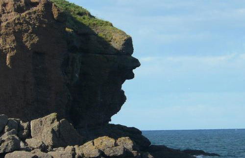 The Home Arms Cottage - Photo 43