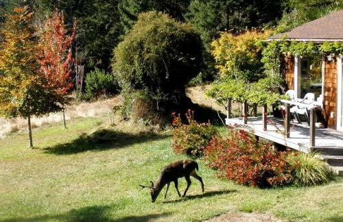 Rural Vacation Cottage near the Coast and the Town of Albion in Northern California - Foto 18