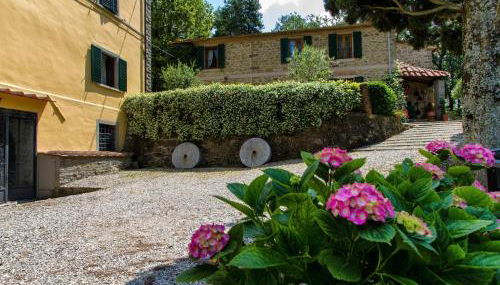 Alloggio Villa Manini - Foto 5, Garden