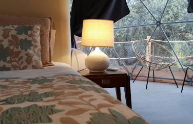 Herdade Ribeira de Borba - Foto 39