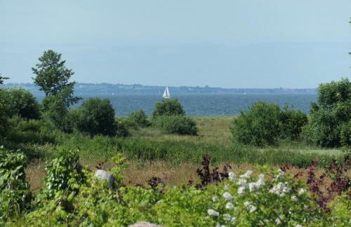 Ferienwohnung Hafenblick Ferienhof Geltinger Bucht - Foto 19