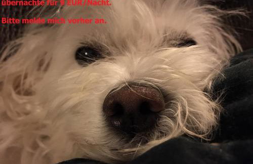 Villa Hortensie - Foto 31