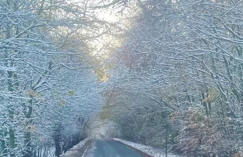 Seaton Cottage - Uk31990 - Foto 30