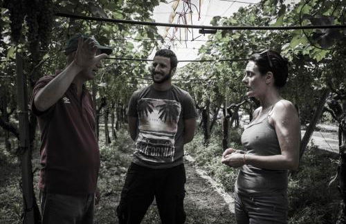 Masseria Marico - Foto 25