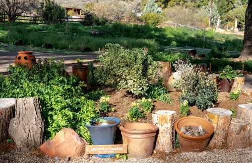 13 acres Perfect for Groups! 3BR Sleeps 8-10 - Foto 48