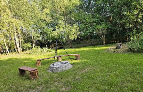 Dom Pod Brzozami Lipinki Bory Tucholskie basen - psy, koty mile widziane! - Photo 12