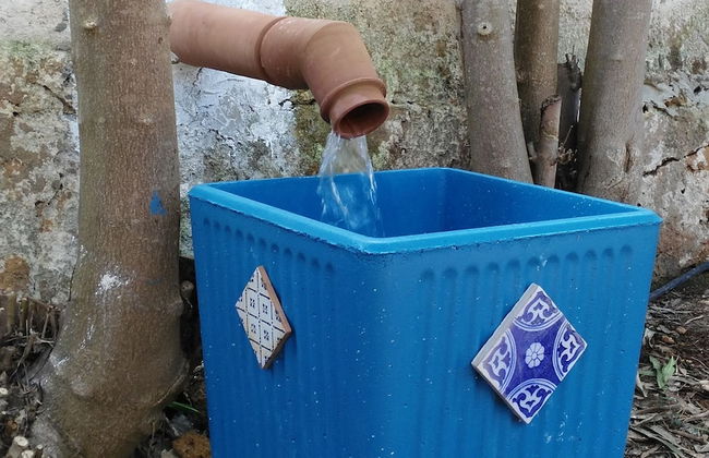 Zagara di Sicilia - Foto 45