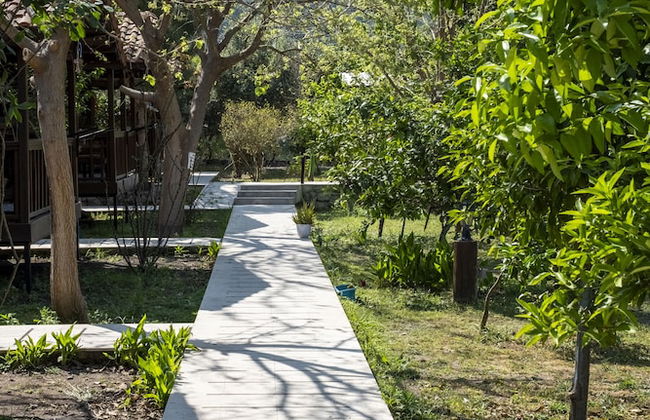 La Maison Hotel Çıralı - Foto 63