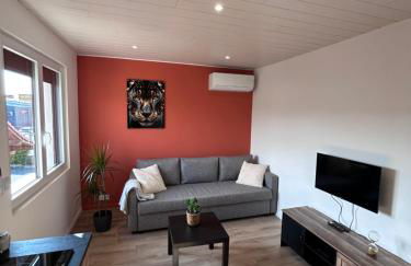 Appartement proche zenith "mizo" - Foto 6