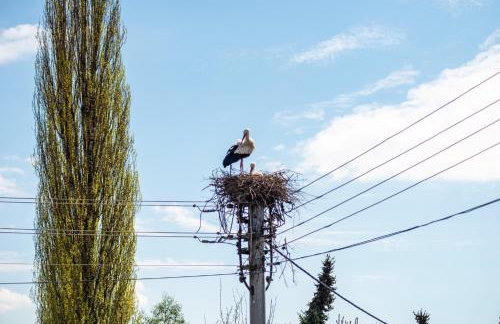 Vronis Ferienwohnungen - Foto 6