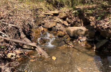 Cricket by the Creek - Creek, Gym, Trails, Kayaks - Foto 20