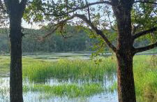 Nosso Cantinho Delfinópolis Serra da Canastra - Photo 30