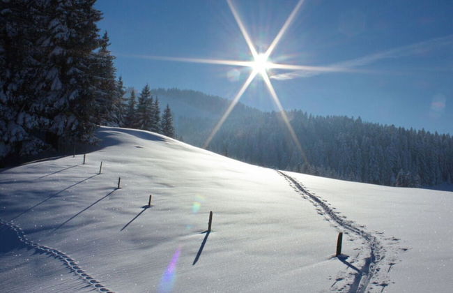 Holiday Apartment Lucky guy - Photo 14