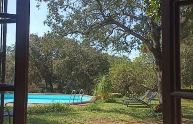 Finca SAlzinar - Foto 8