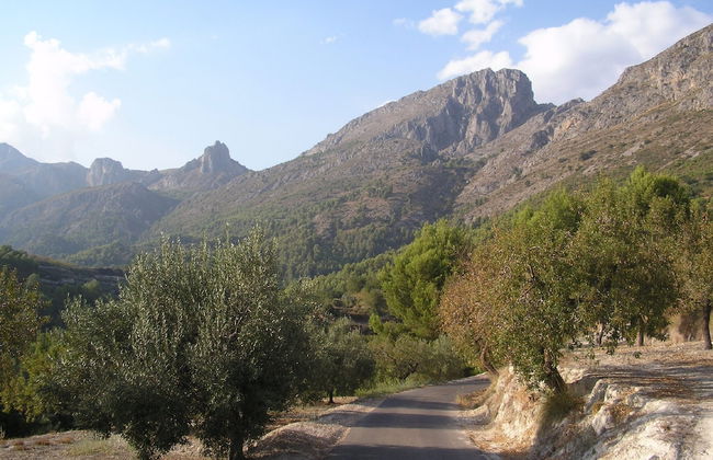 Apartamentos Serrella - Foto 28