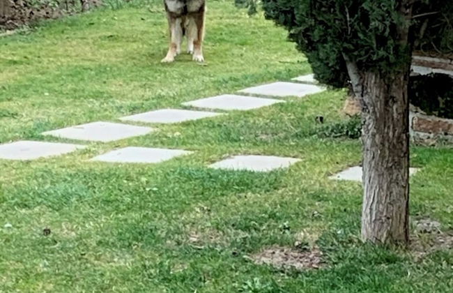 Antica Pietra - Photo 18