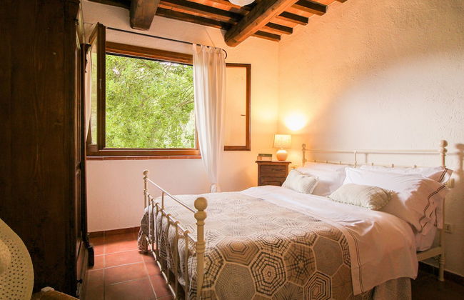 Boschi di Montecalvi - Foto 37