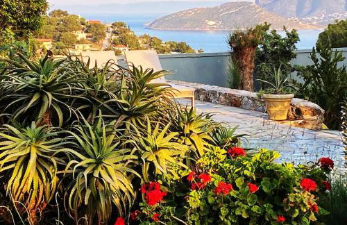 Villa-Agave , by the sea in Porto-Rafti outside Athens - Foto 35