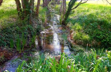 Le clos Du Roc Rouge - Foto 5