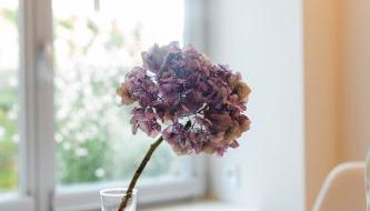 Dr. Bockemüller Appartements - Foto 3