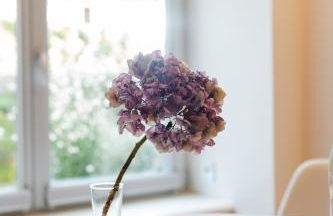 Dr. Bockemüller Appartements - Foto 3