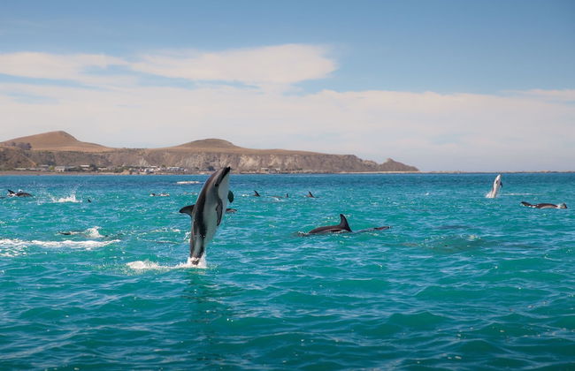 The Factory - Foto 44