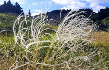 Tsigaridas Mountain Home - Foto 61