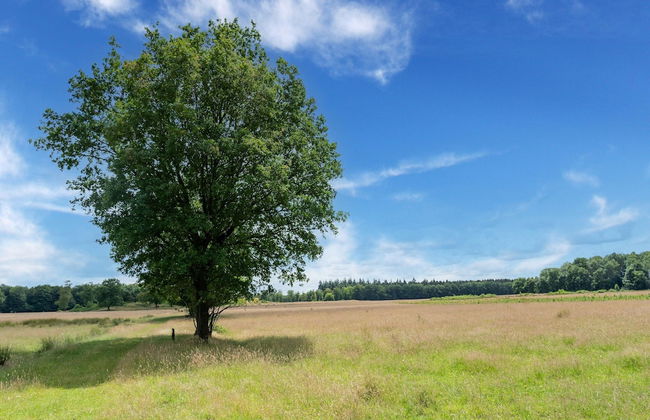 House in Hunzebergen Near Forest Trails - Foto 35