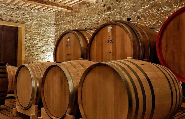 Wine Resort Colsereno - Foto 22