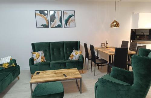 Willa Kaszubski Sendom - Foto 5